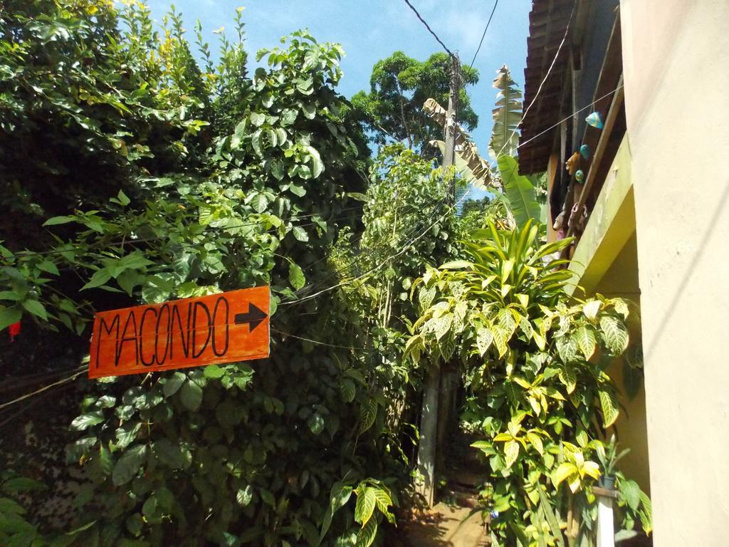 Macondo Hostel มอร์โฮเจอเซาเปาลู ภายนอก รูปภาพ